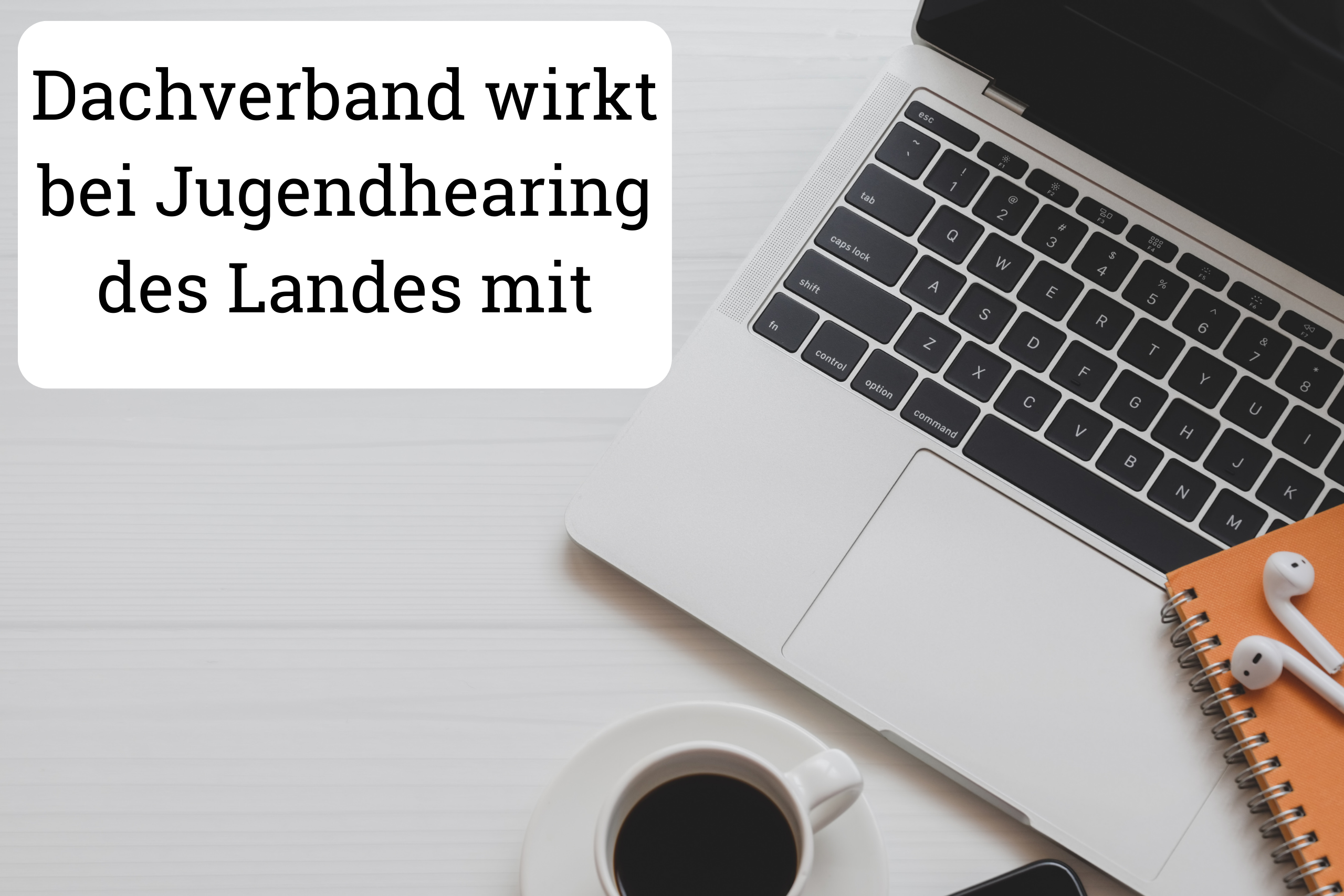 Read more about the article Dachverband wirkt bei Jugendhearing des Landes mit
